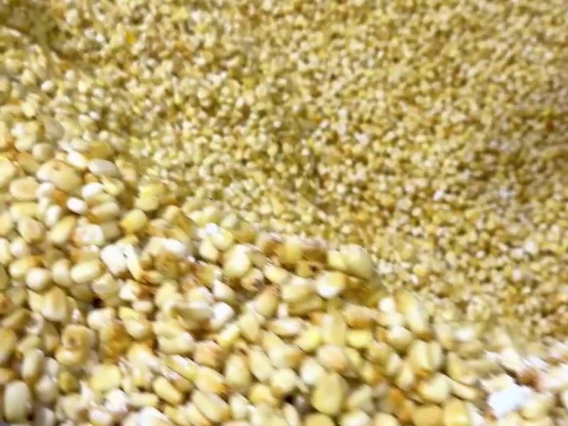 Una pila de tortillas de maíz frescas en la Fábrica de Tortillas Leal.