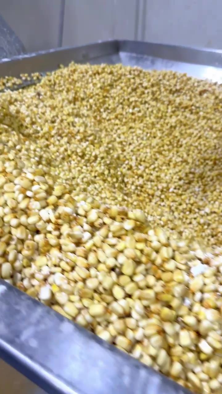 Masa siendo molida en piedra en la Fábrica de Tortillas Leal, Muleshoe TX.